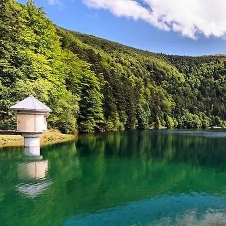 Jolie T2, 55 M, Centre Soultz-Haut-Rhin