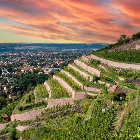 Jolie T2, 55 M, Centre * Soultz-Haut-Rhin