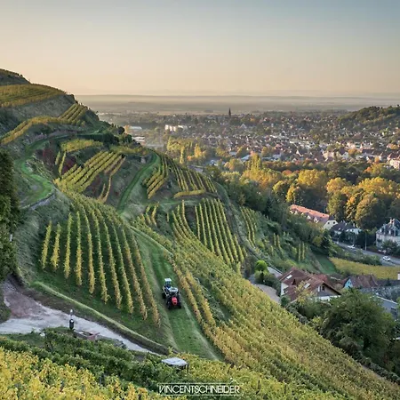 Jolie T2, 55 M, Centre Soultz-Haut-Rhin